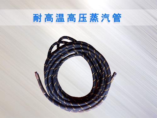 蒸汽洗車機(jī)專用蒸汽管